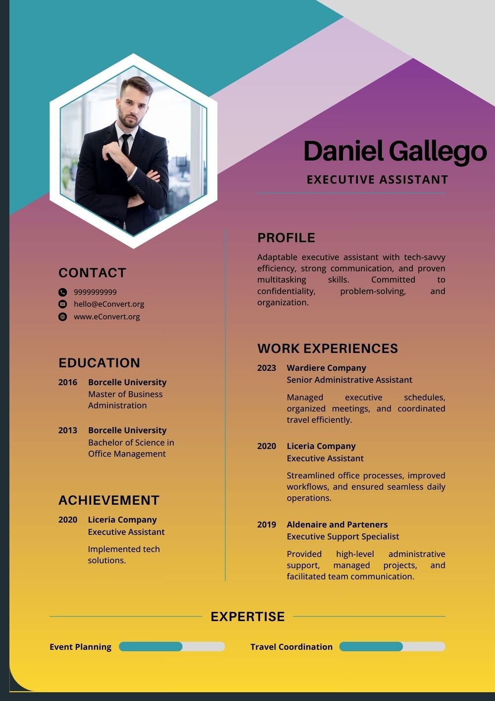 Resume Templates for Sales Executive