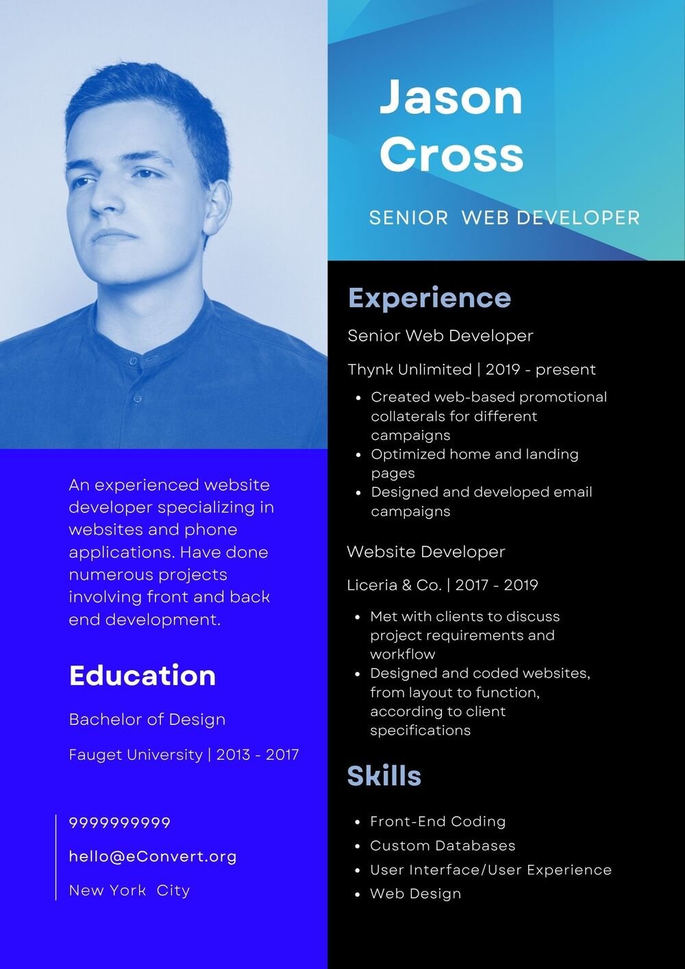 Senior Web Developer Resume Download