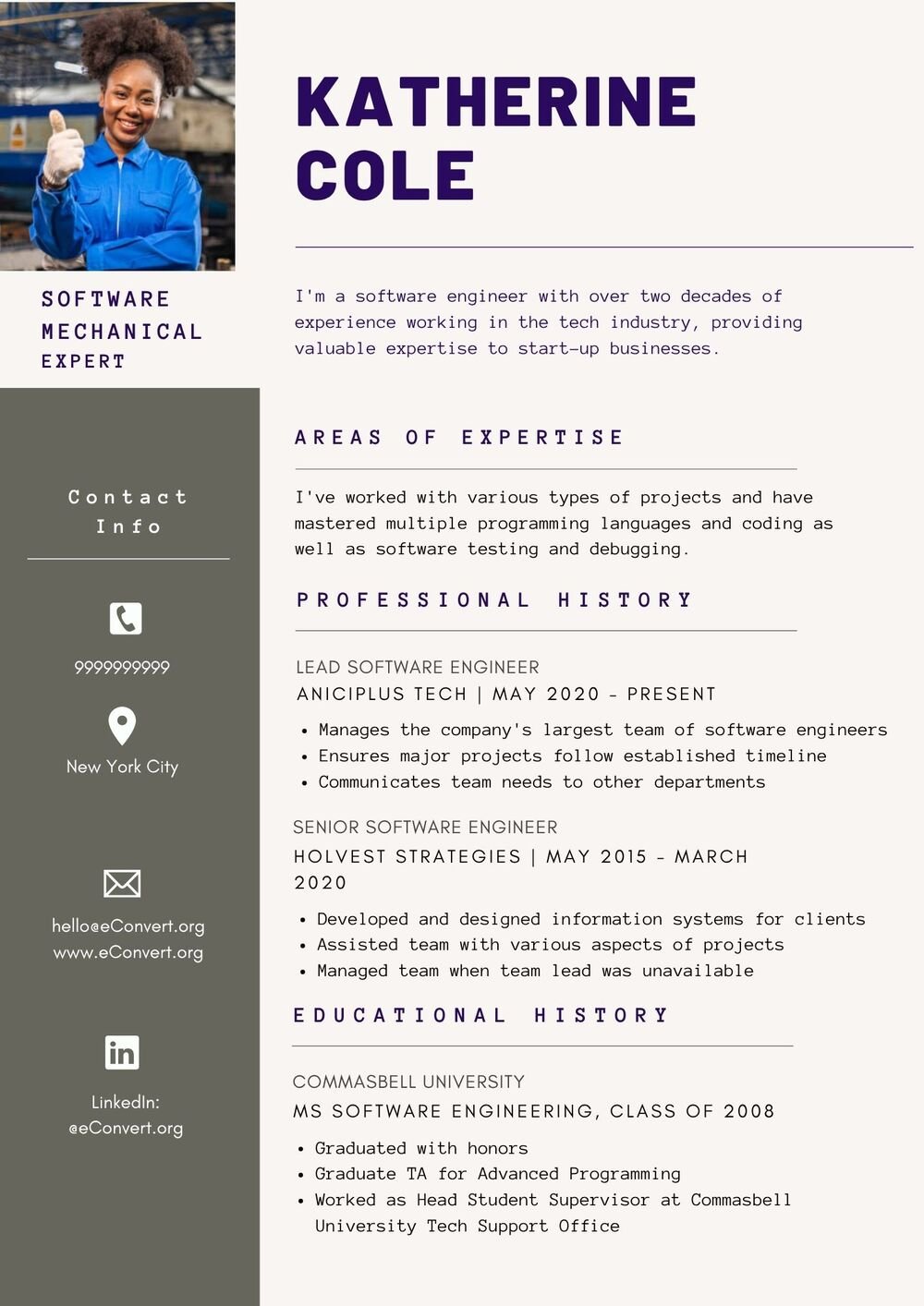 Software Mechanical Expert Resume