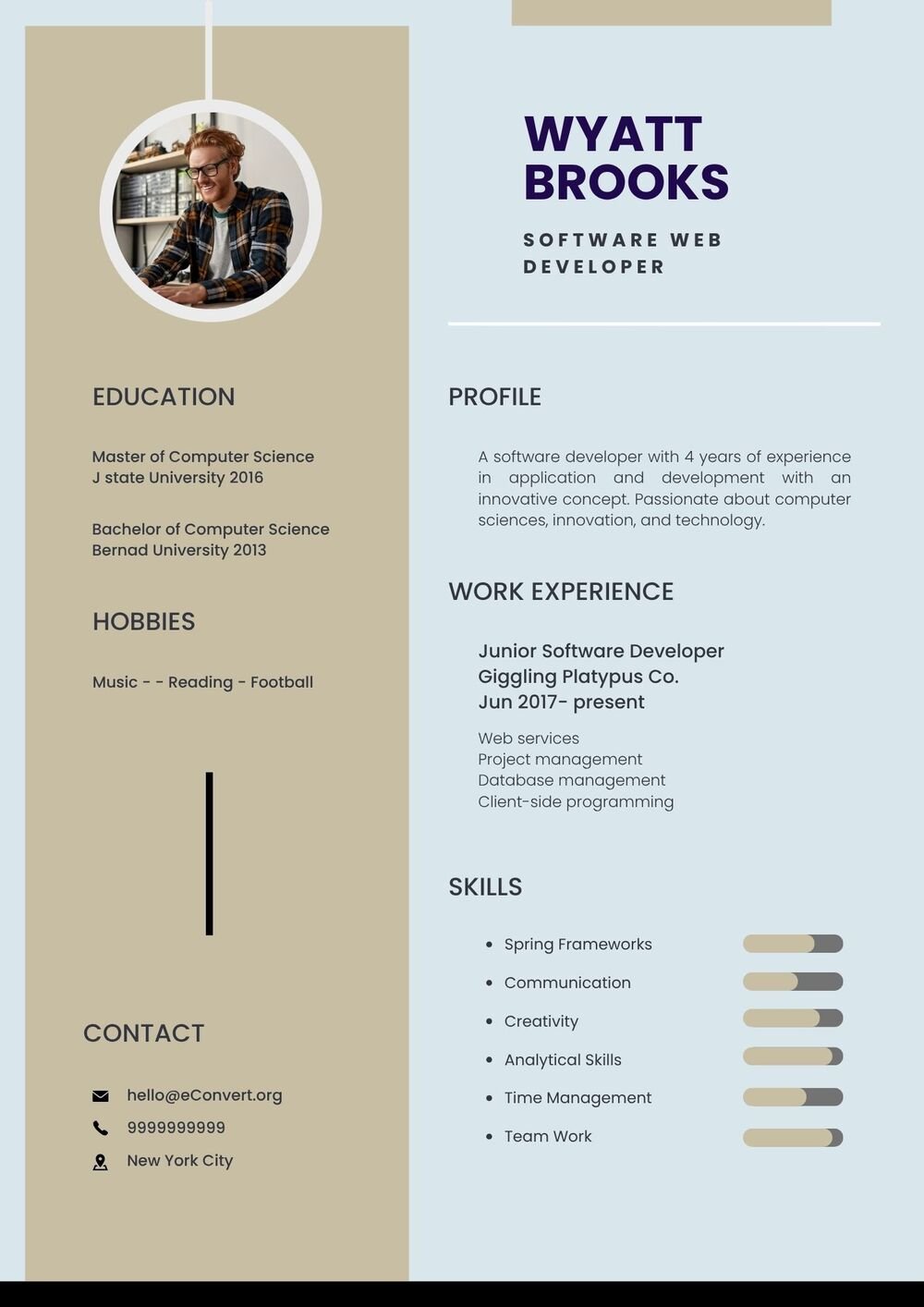 Software web Developer Resume