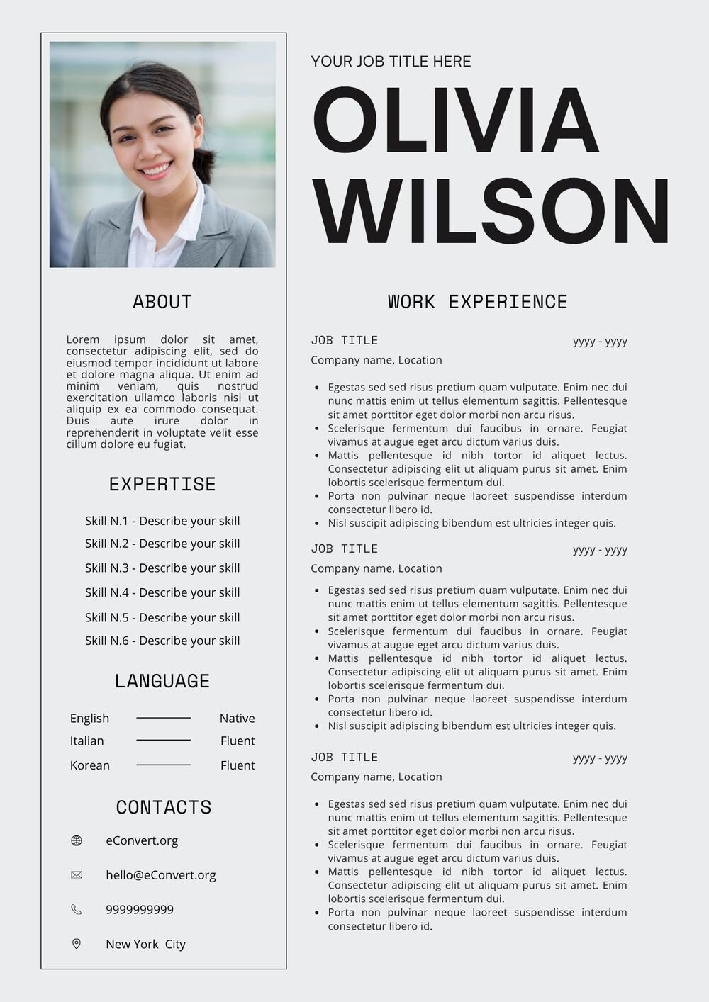 Two Page Resume Templates Free Download