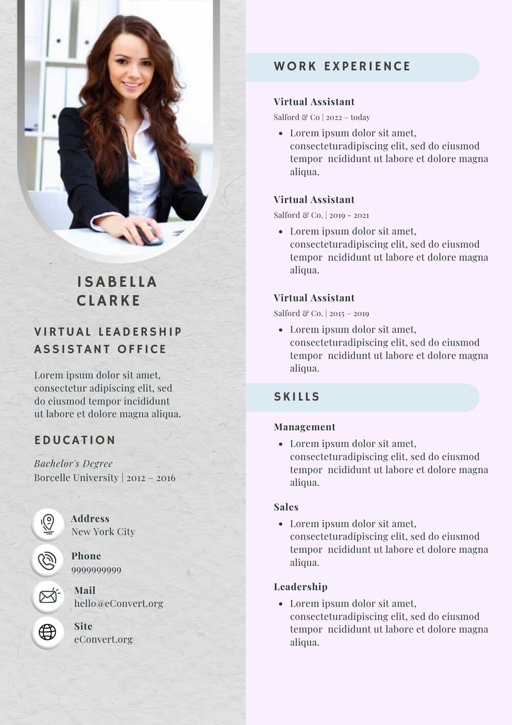 Virtual Leadership Assistant Office Resume