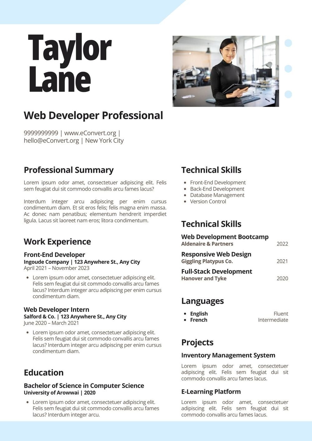 Web Developer Professional Resume