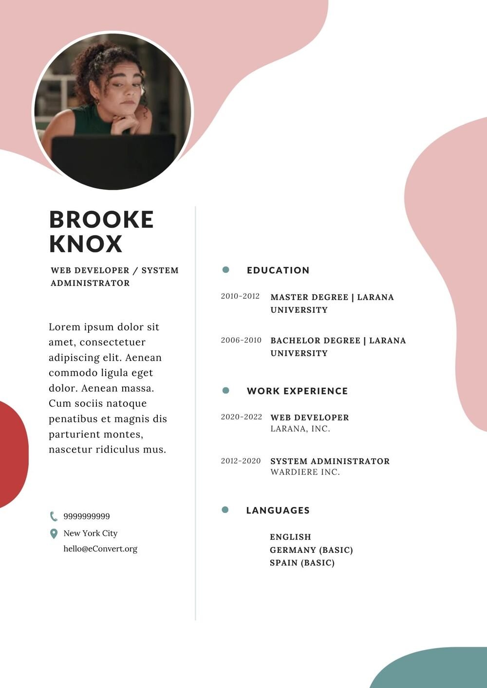 Web Developer System Administrator Resume