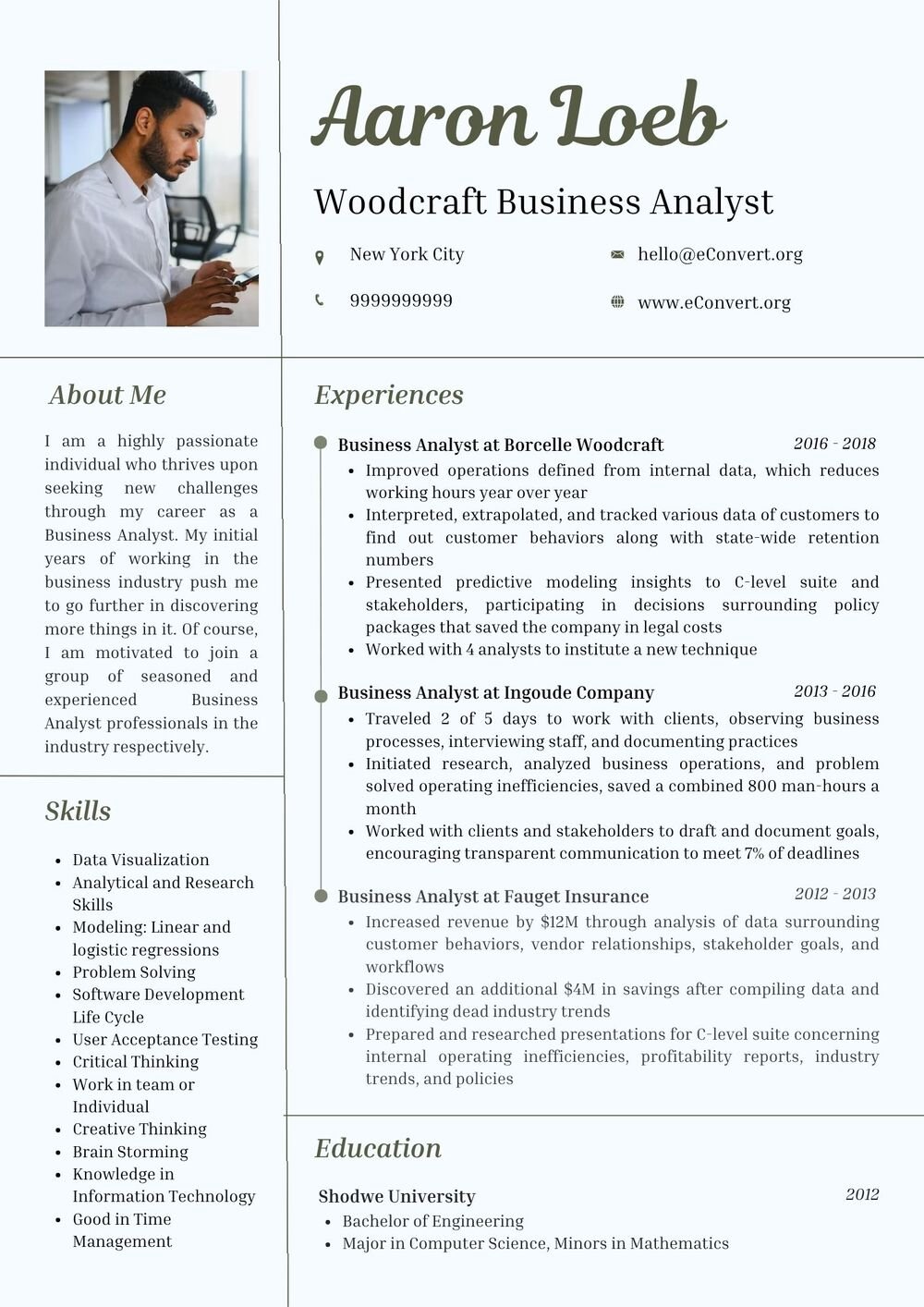Woodcraft Business Analyst Resume