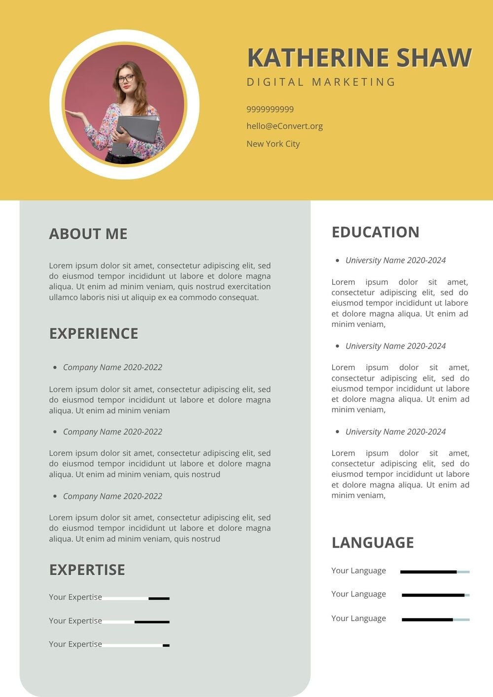 digital marketing Resume
