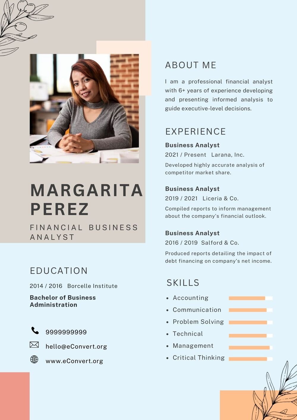 financial Business Analyst Resume