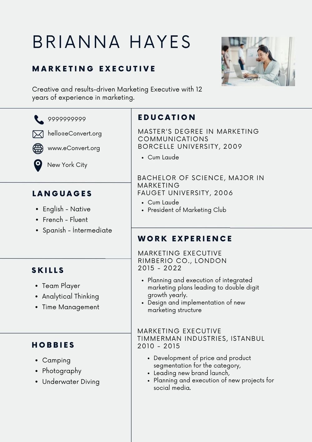 marketing executive Resume