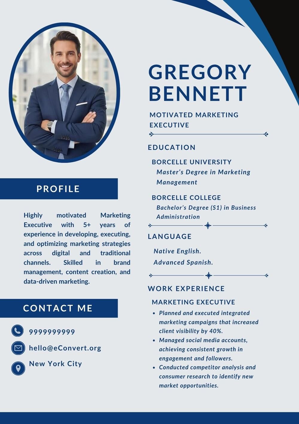motivated Marketing Executive Resume