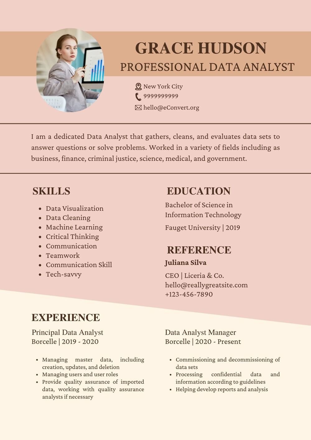 professional Data Analyst Resume