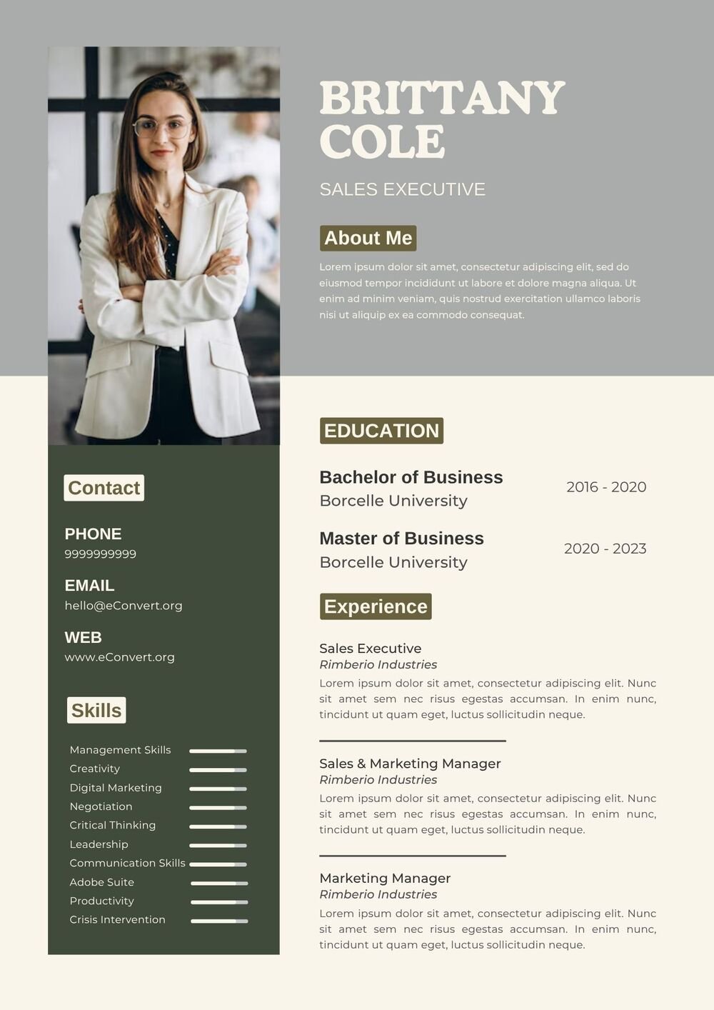 sales executive Resume