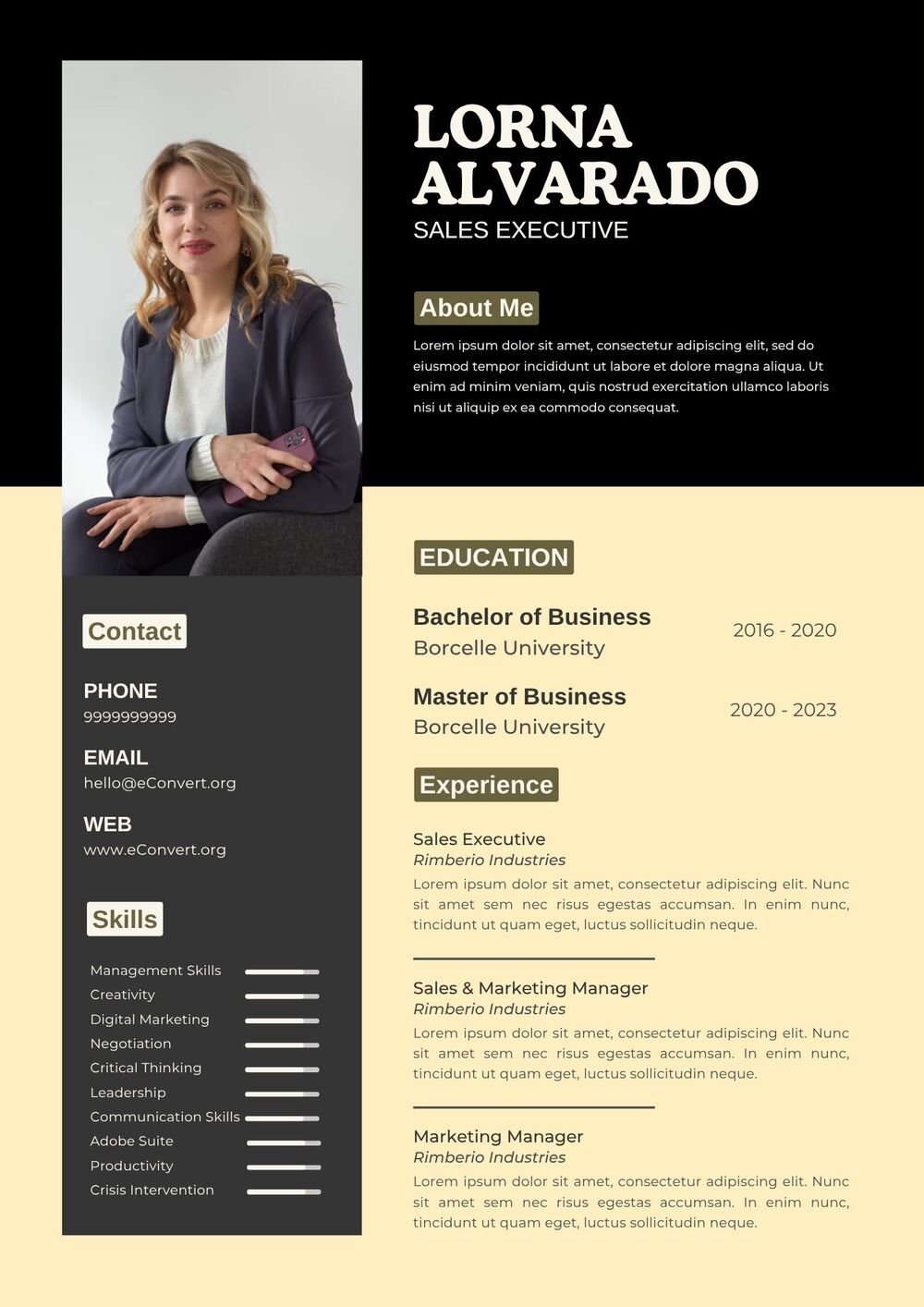 Resume Templates for Executive Level Jobs