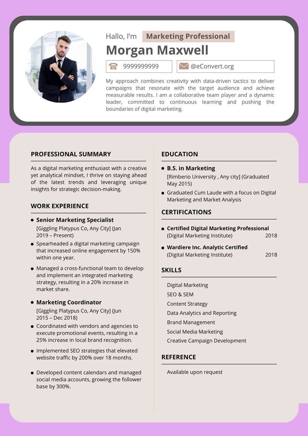 Resume Templates for Government Jobs