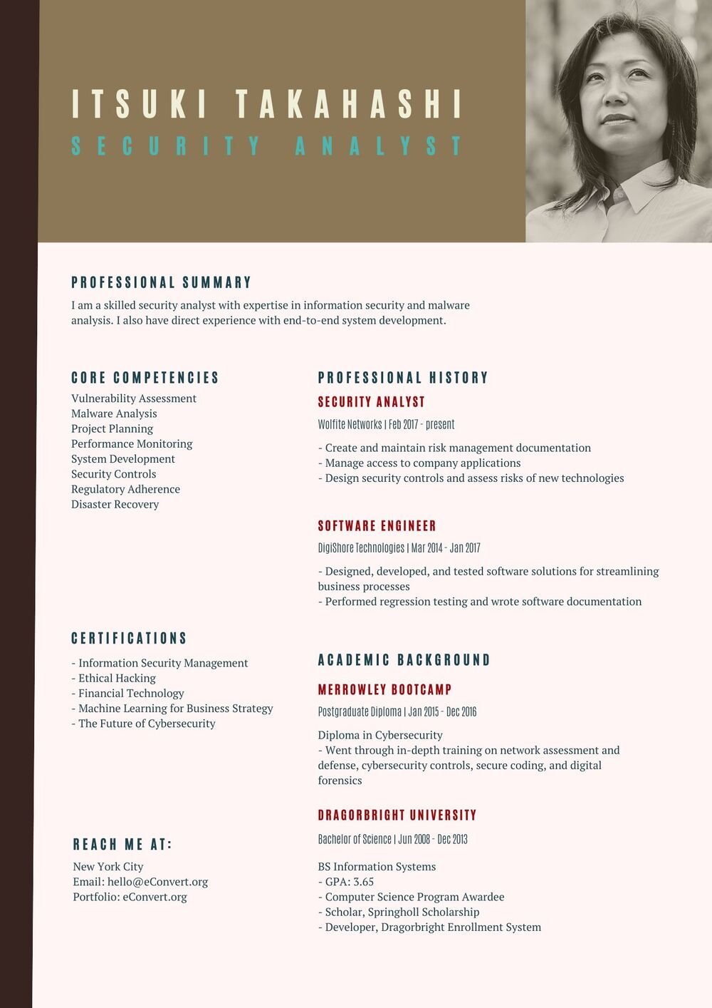 Resume Templates for Security Jobs
